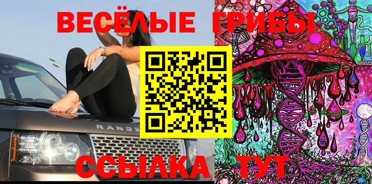 Псилоцибиновые грибы мицелий  Вход с VPN  Шахты 